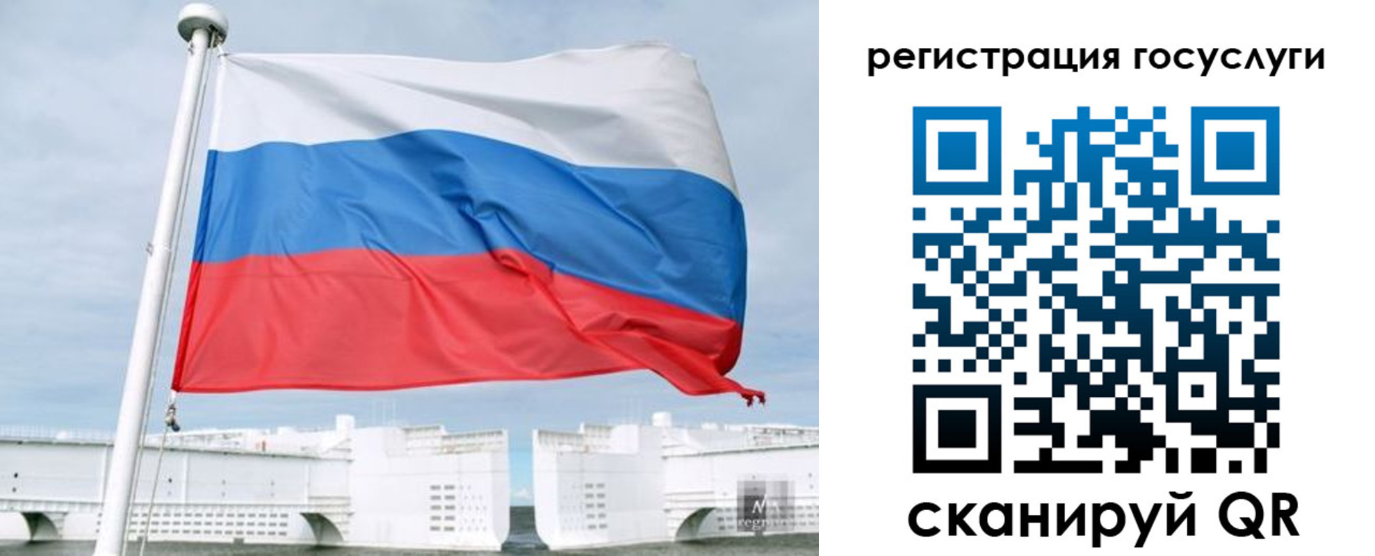 временная регистрация поиск в Тереке